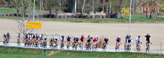 _MG_0805.jpg