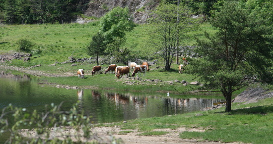 Birkenesrunden_27.jpg